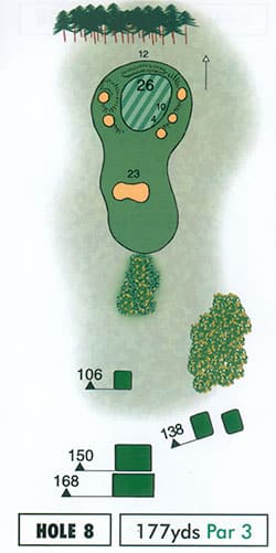 Hole-17-ss Hole 8 Strokesaver
